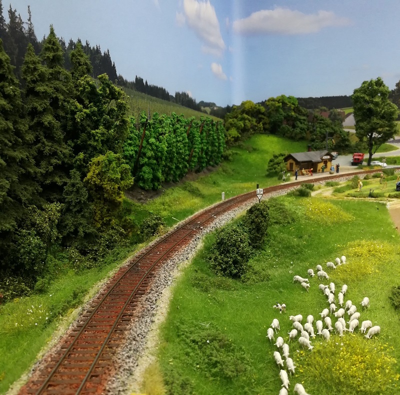 Kreisbahn ohne Kreis